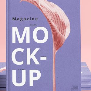 Business Magazine